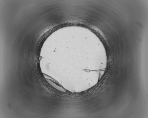 X0000111931064200909071233