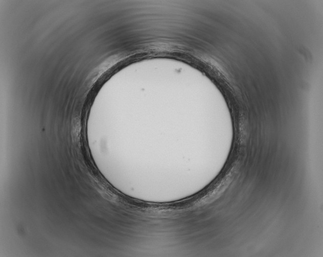 X0000111931065200909071233