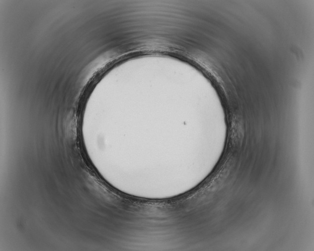 X0000111931067200909071233