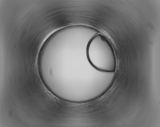 X0000111931068200909071233