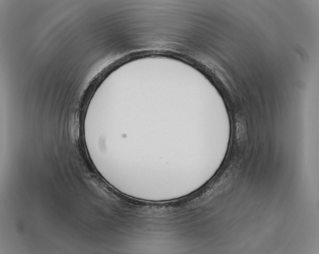 X0000111931069200909071233