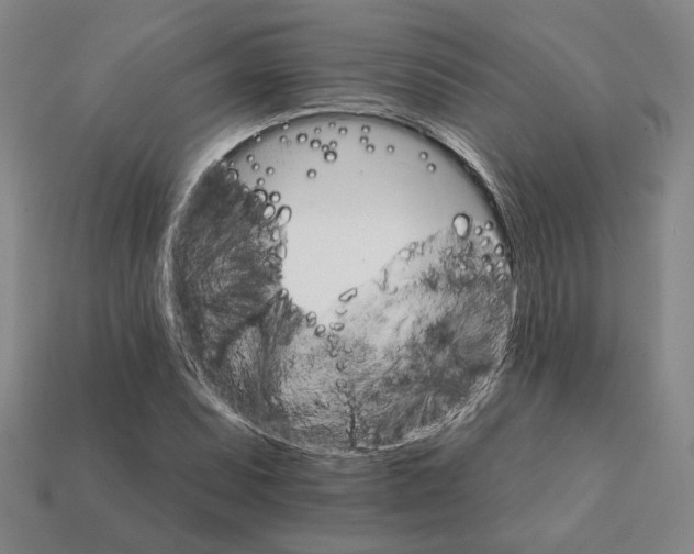 X0000111931071200909071233