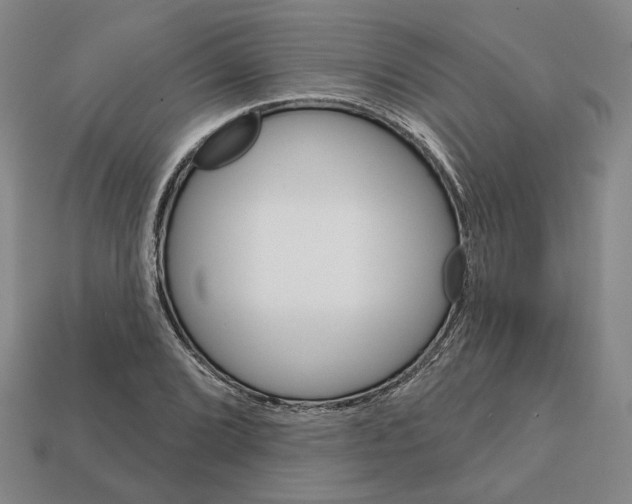 X0000111931072200909071233