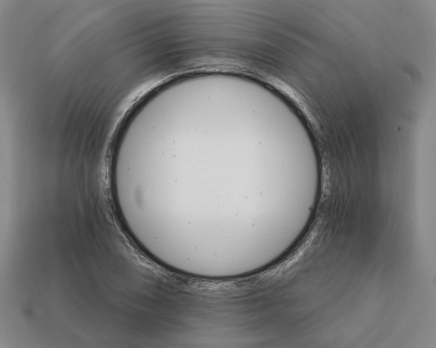 X0000111931074200909071233