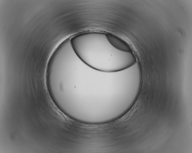 X0000111931076200909071233