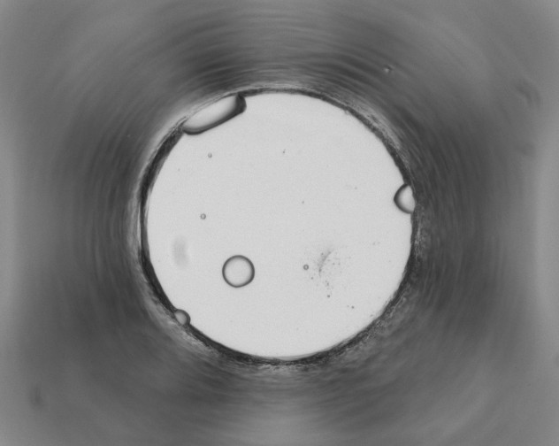 X0000111931080200909071233