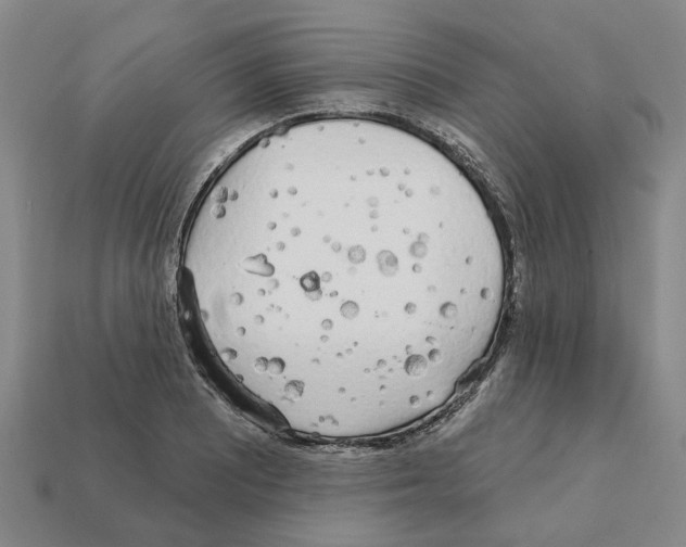 X0000111931081200909071233