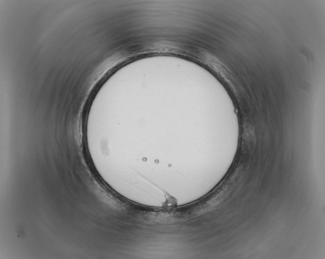 X0000111931082200909071233