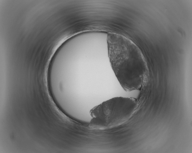 X0000111931083200909071233