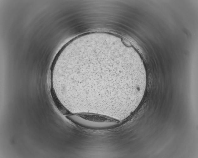 X0000111931084200909071233