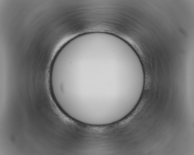 X0000111931086200909071233