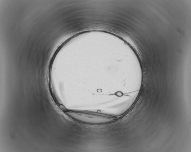 X0000111931088200909071233