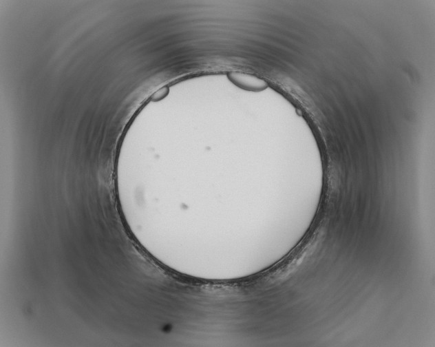 X0000111931089200909071233