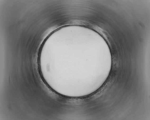 X0000111931091200909071233