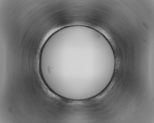 X0000111931094200909071233