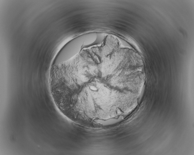 X0000111931095200909071233