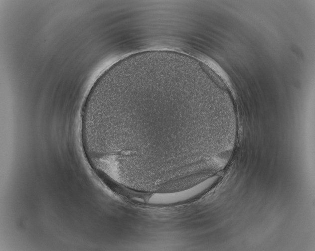 X0000111931096200909071233