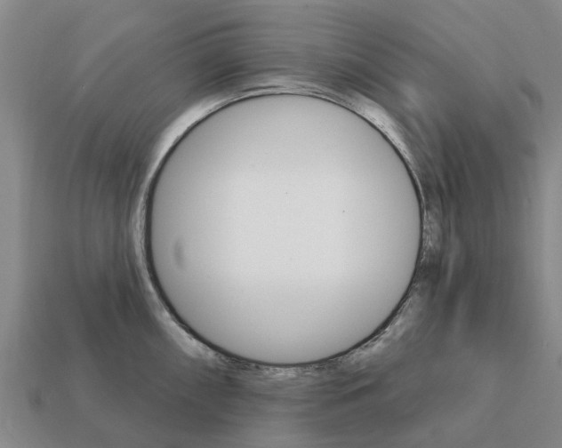 X0000111931098200909071233