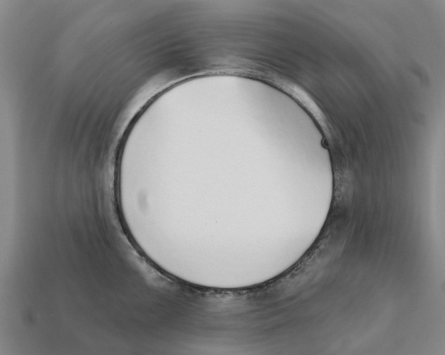 X0000111931099200909071233