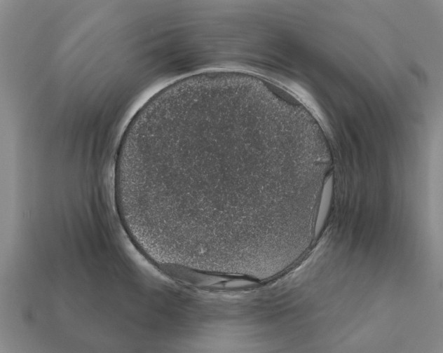 X0000111931100200909071233