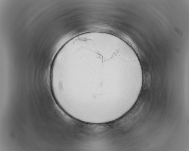 X0000111931103200909071233