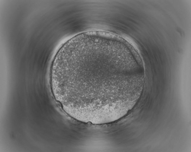 X0000111931104200909071233