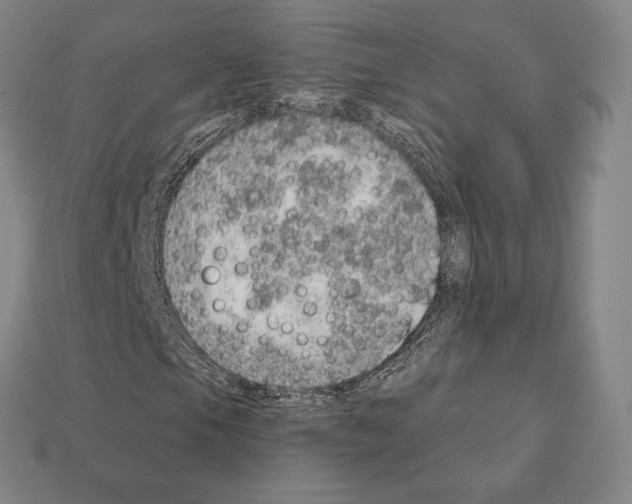 X0000111931105200909071232