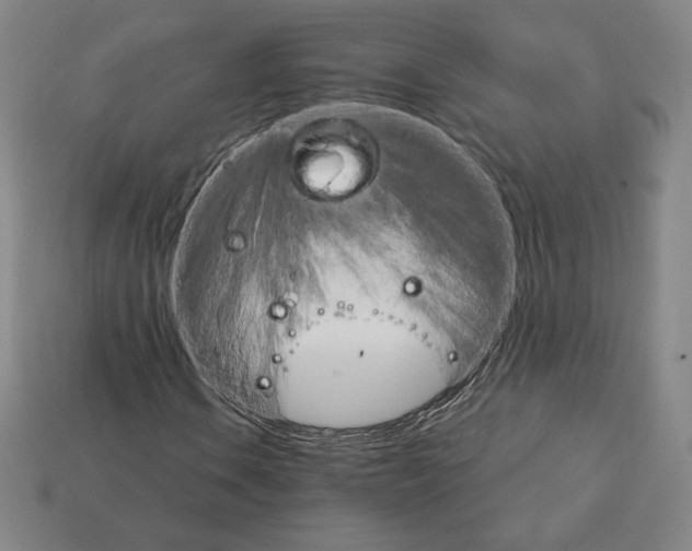 X0000111931106200909071232