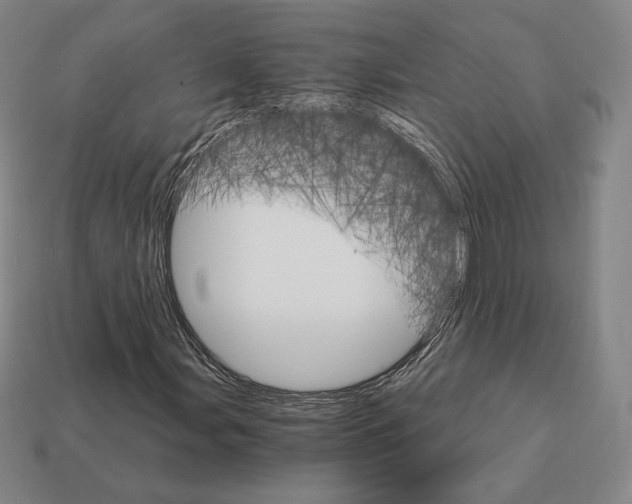 X0000111931107200909071232