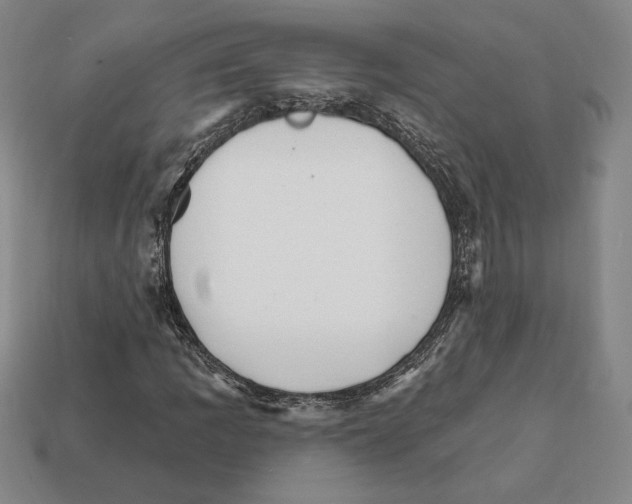 X0000111931109200909071232