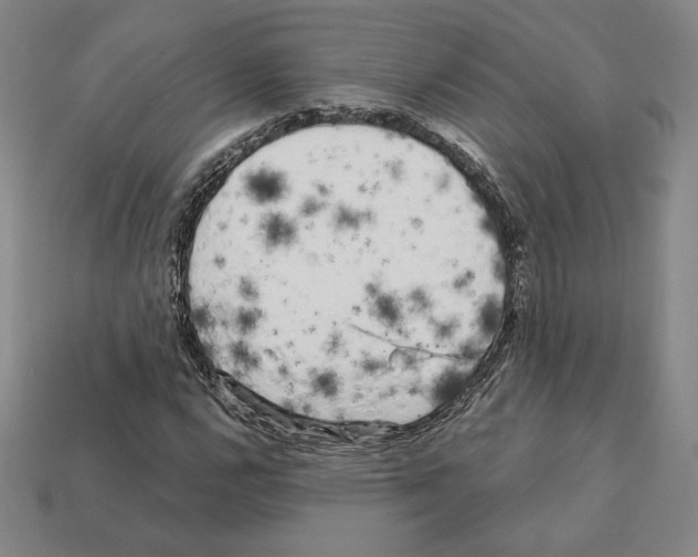 X0000111931112200909071232