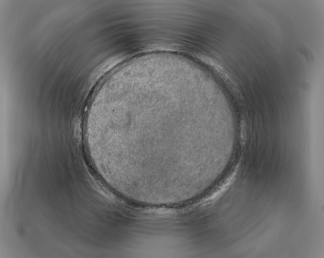 X0000111931113200909071232