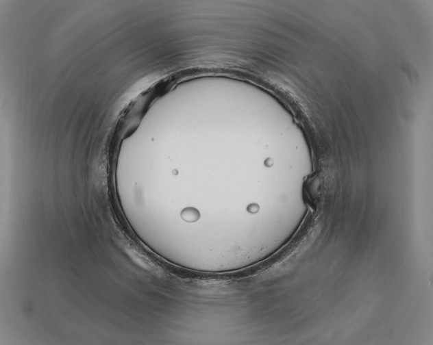 X0000111931114200909071232