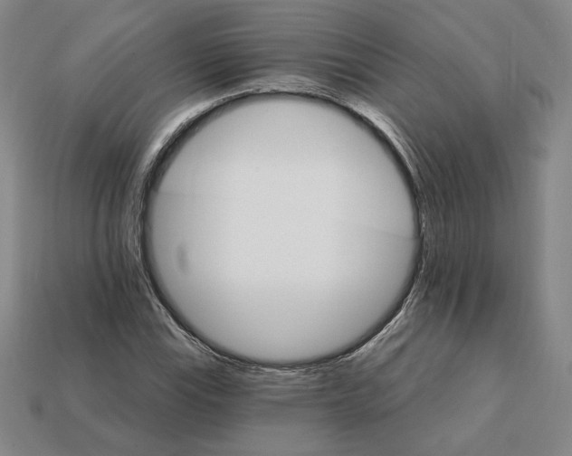 X0000111931115200909071232