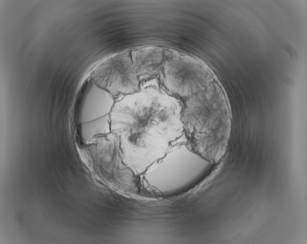 X0000111931117200909071232