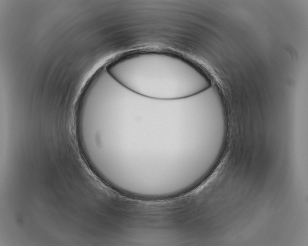 X0000111931118200909071232