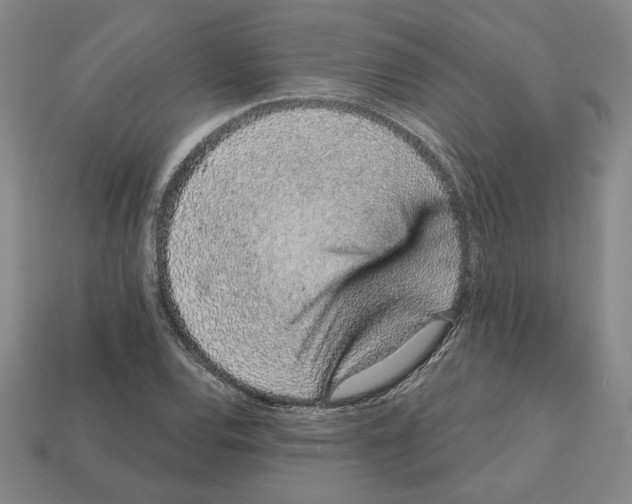 X0000111931120200909071233