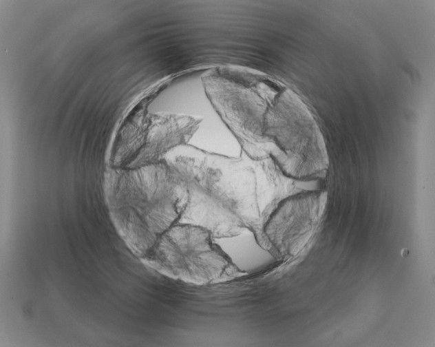 X0000111931121200909071233