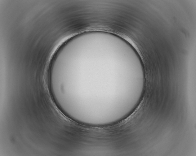 X0000111931123200909071233