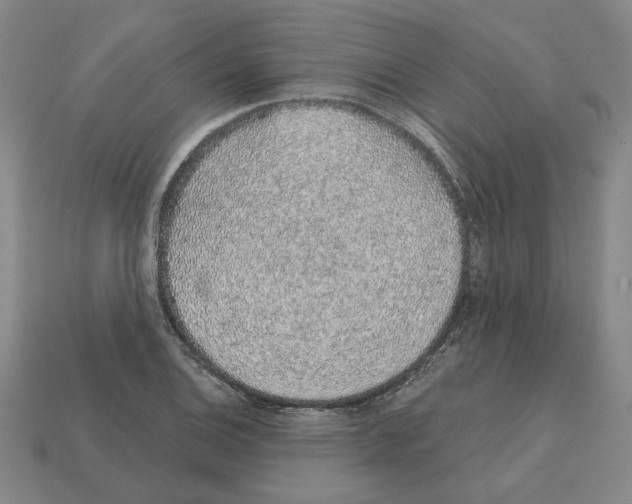 X0000111931124200909071233