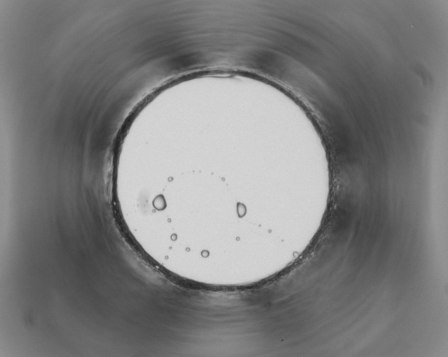 X0000111931126200909071233