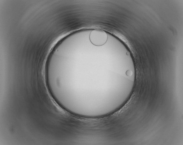 X0000111931127200909071233