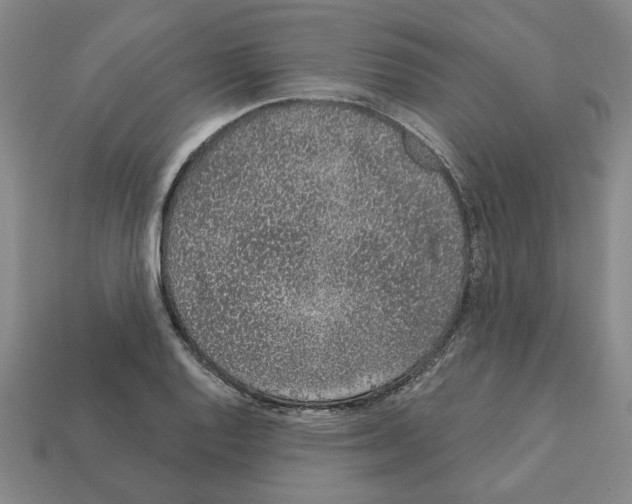 X0000111931128200909071233