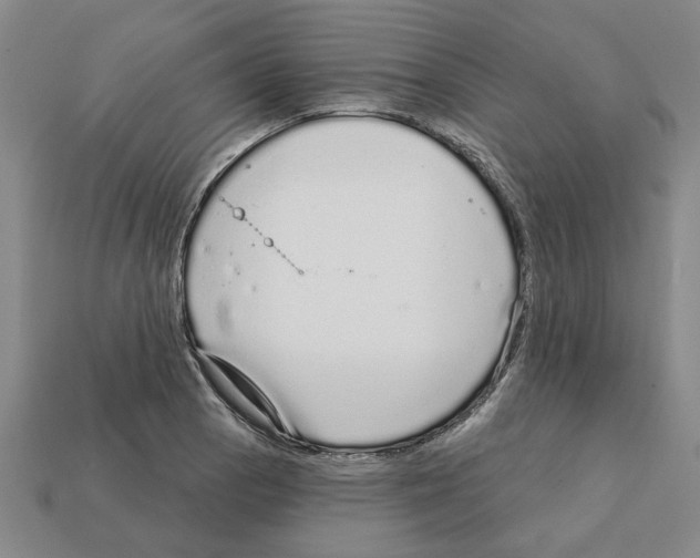 X0000111931129200909071233