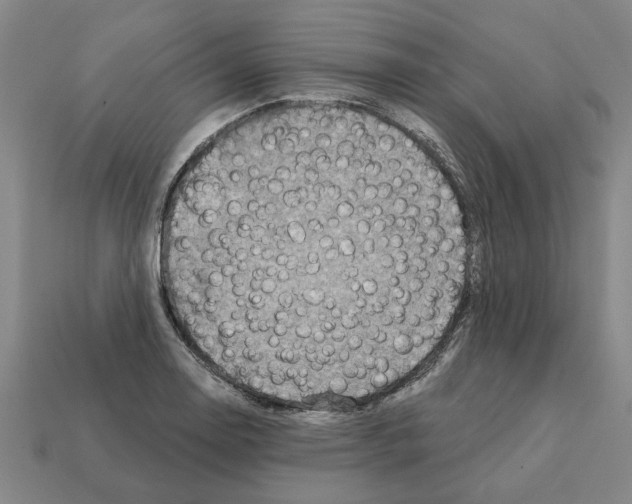 X0000111931130200909071233