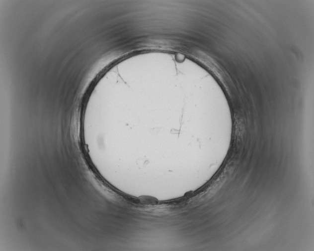 X0000111931131200909071233