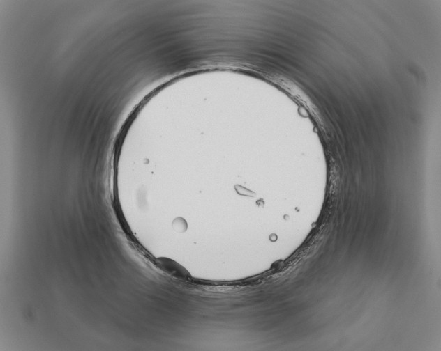 X0000111931132200909071233