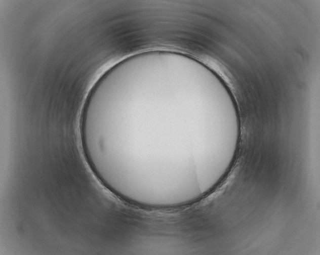 X0000111931133200909071233