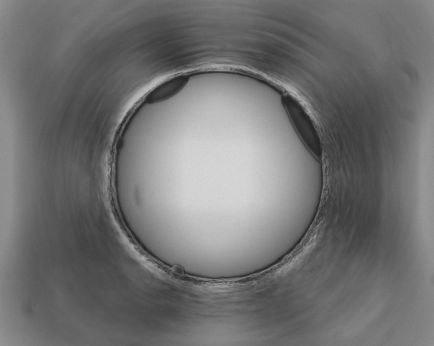 X0000111931134200909071233