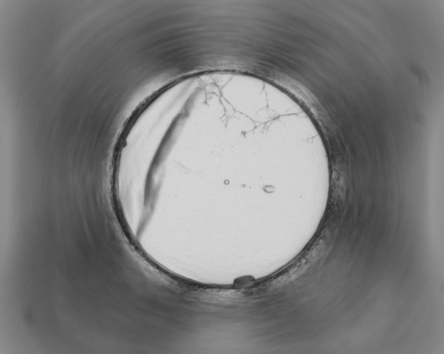 X0000111931135200909071233